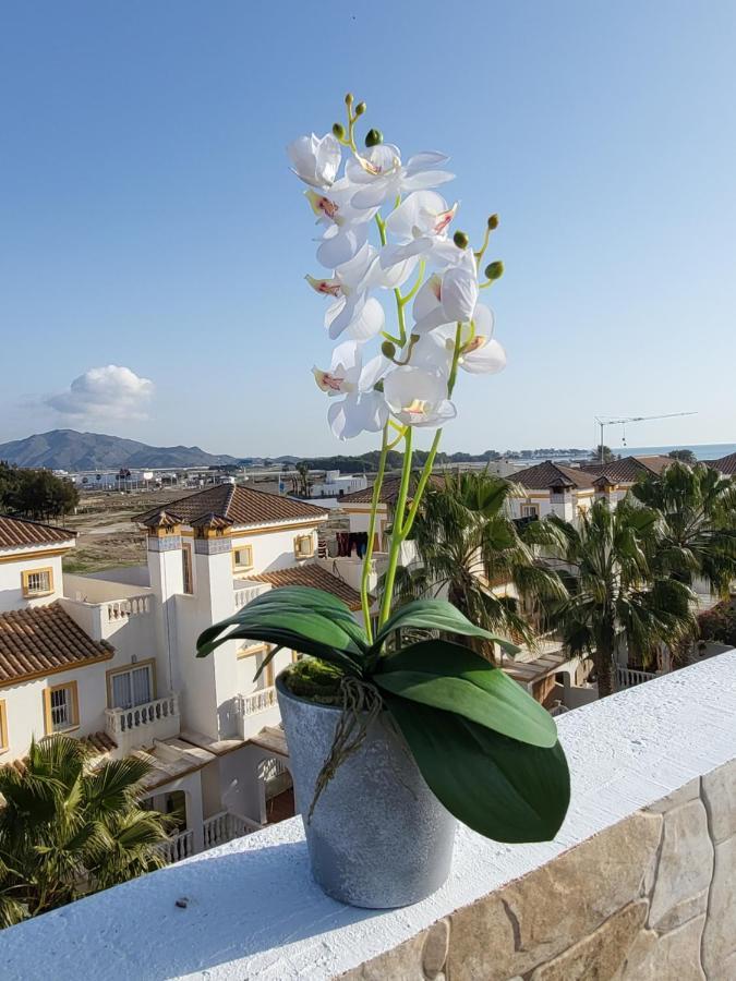 Ático dúplex en primera línea con piscina privada! Vera Exterior foto